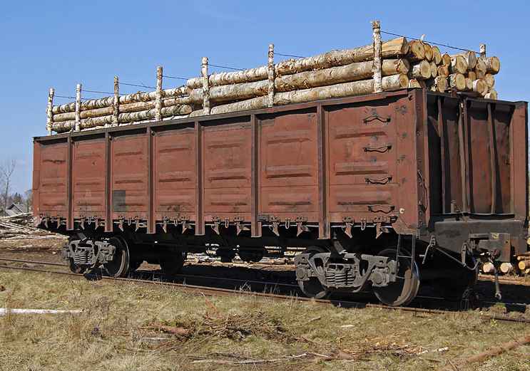Перевозка Леса по ЖД из Новосибирска в Омск