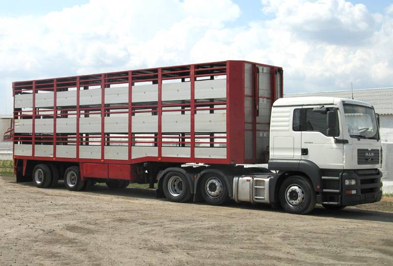 Прицеп для перевозки крупного рогатого скота по Новосибирску
